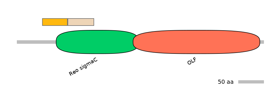 HsaEX0044713-EXC