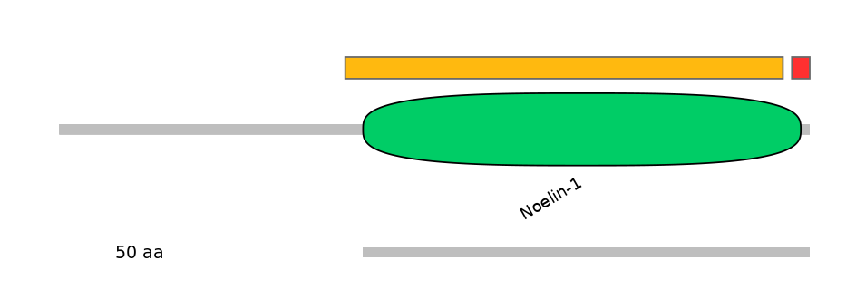 HsaEX0044713-INC