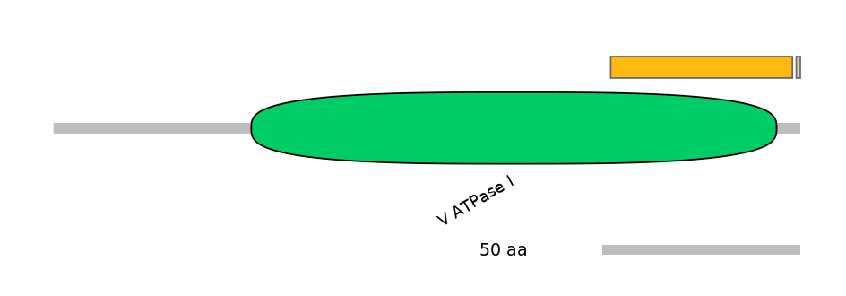 HsaEX0044723-EXC