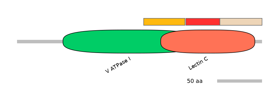 HsaEX0044723-INC