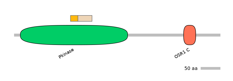 HsaEX0045063-EXC