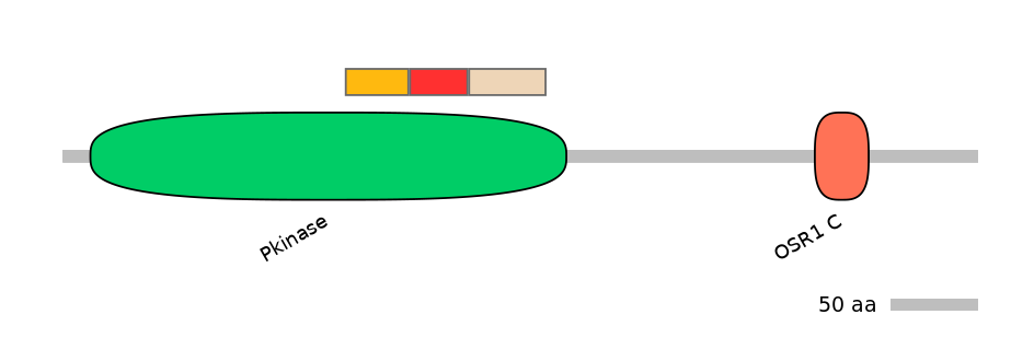 HsaEX0045064-INC
