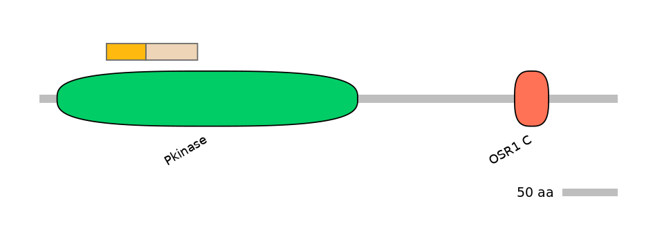 HsaEX0045067-EXC