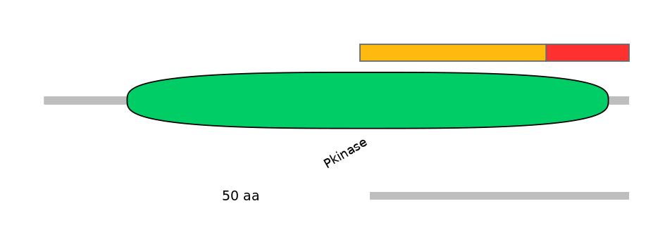 HsaEX0045067-INC
