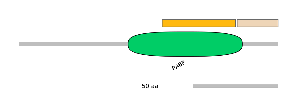 HsaEX0045155-EXC