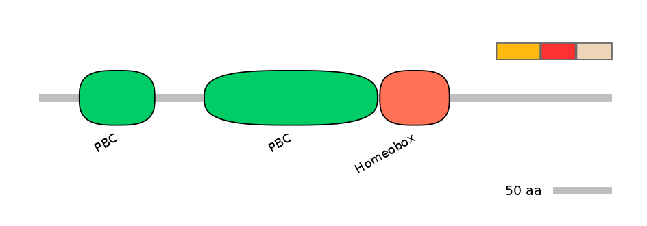 HsaEX0045747-INC