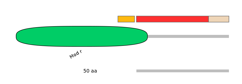 HsaEX0046171-INC