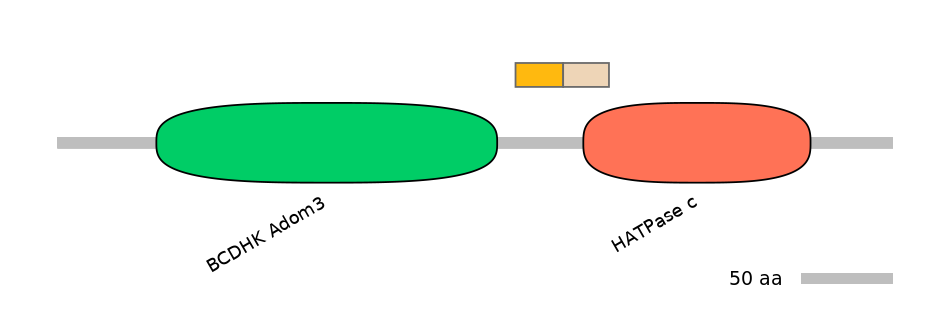 HsaEX0046380-EXC