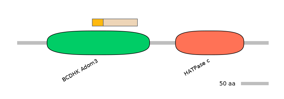 HsaEX0046384-EXC