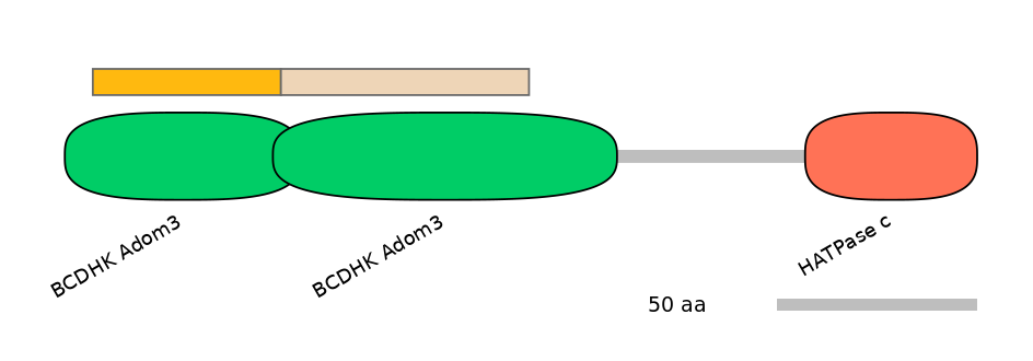 HsaEX0046388-EXC