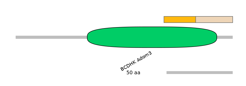 HsaEX0046390-EXC
