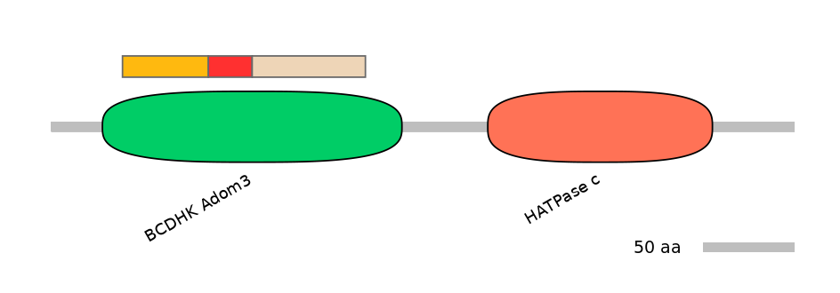 HsaEX0046394-INC