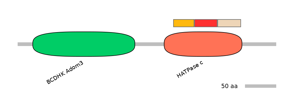 HsaEX0046395-INC