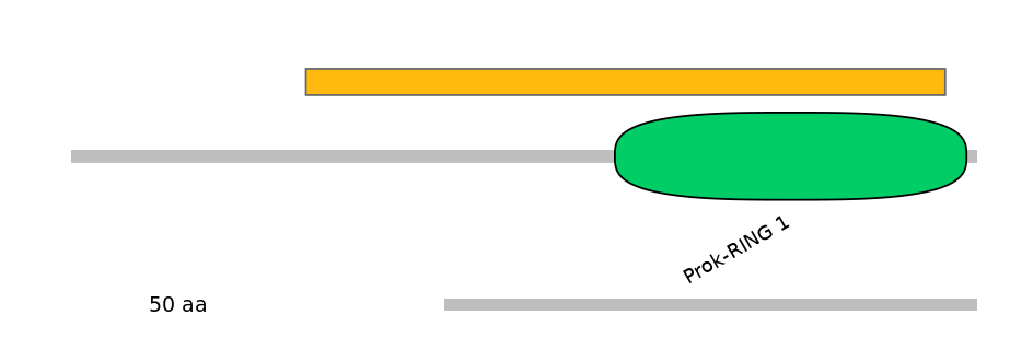 HsaEX0046949-EXC