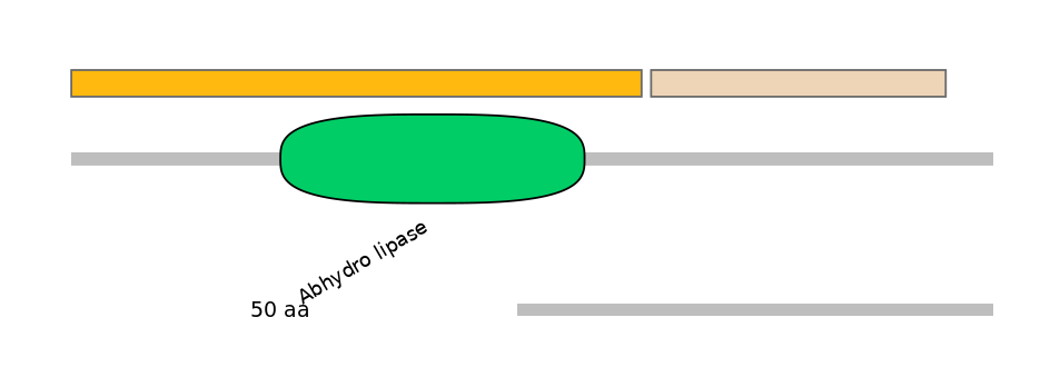 HsaEX0049849-EXC