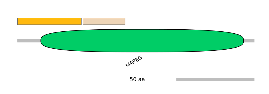 HsaEX0050794-EXC