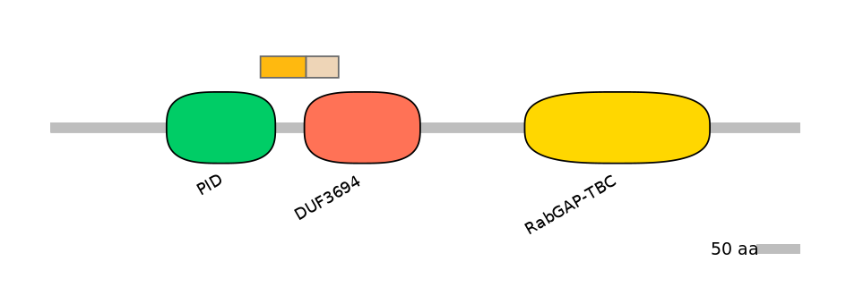 HsaEX0051794-EXC