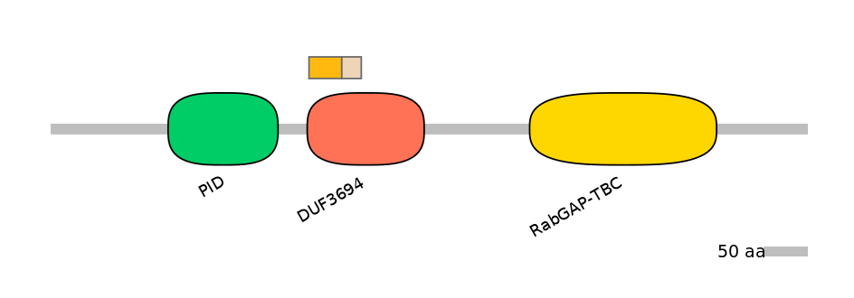 HsaEX0051796-EXC