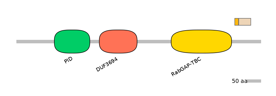 HsaEX0051801-EXC