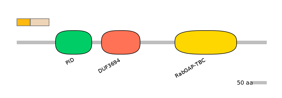 HsaEX0051804-EXC