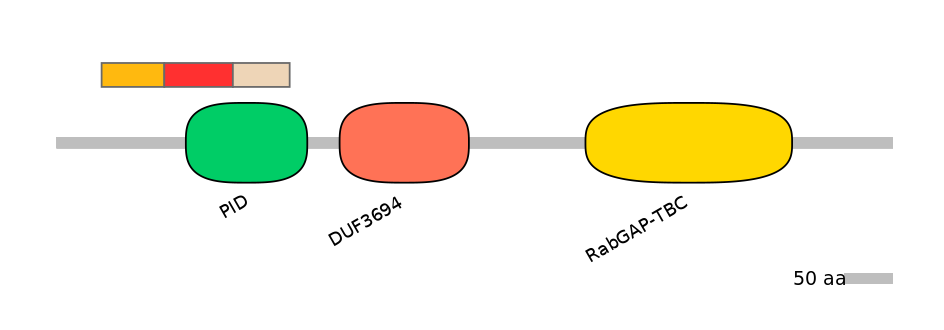 HsaEX0051807-INC