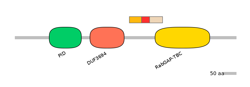 HsaEX0051811-INC
