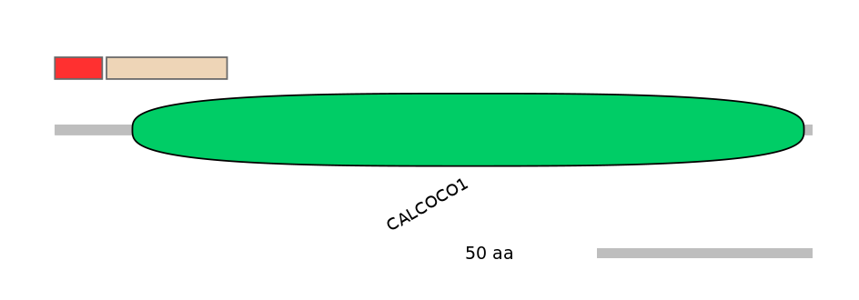 HsaEX0051849-INC