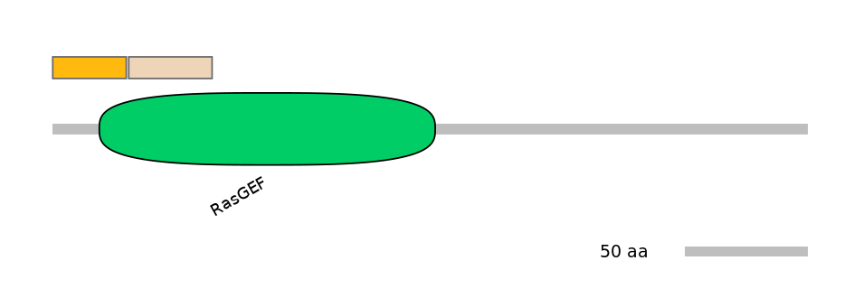 HsaEX0052081-EXC