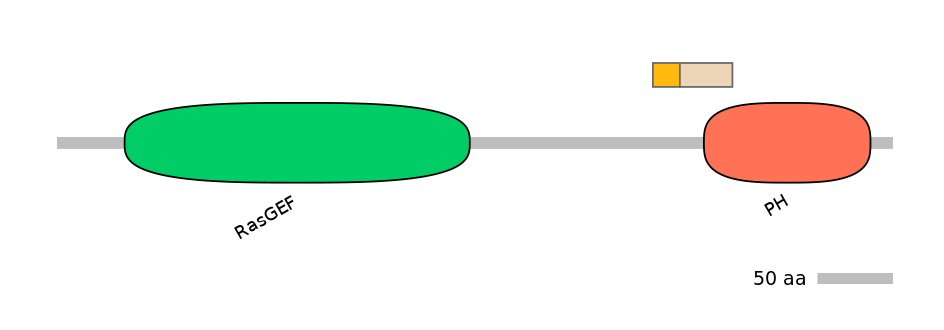 HsaEX0052103-EXC