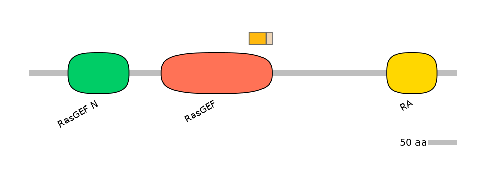 HsaEX0053307-EXC