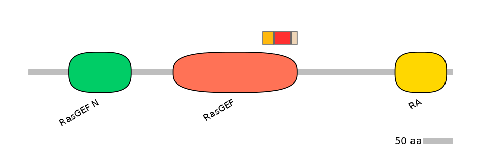 HsaEX0053319-INC