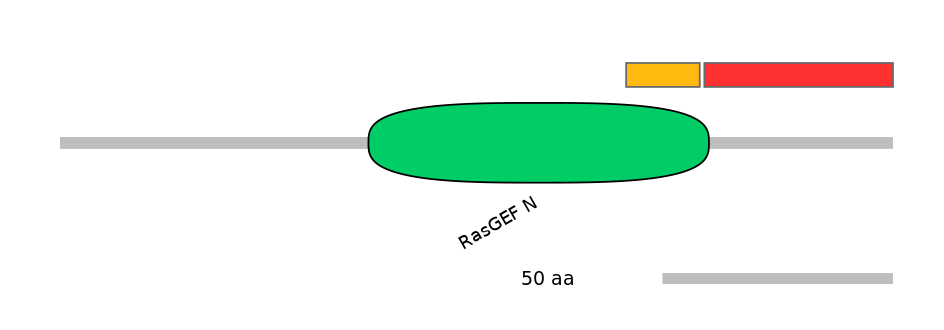 HsaEX0053325-INC