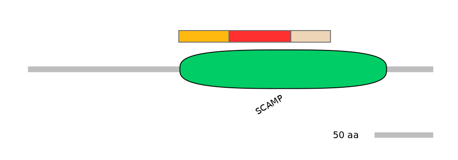 HsaEX0056361-INC