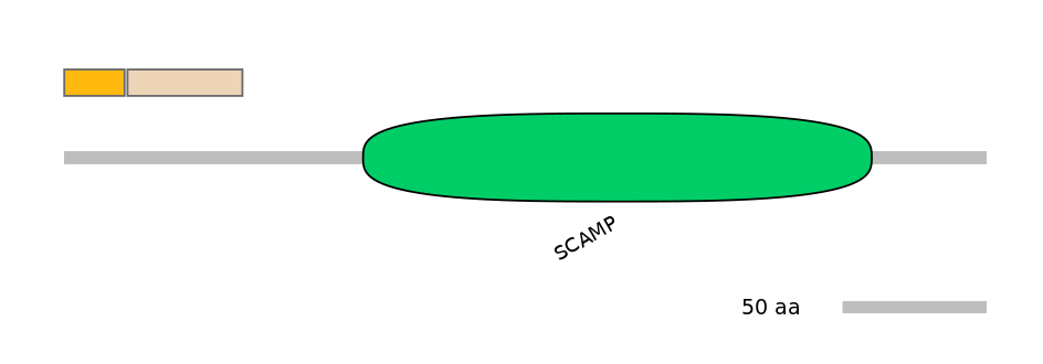 HsaEX0056362-EXC