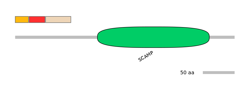 HsaEX0056362-INC