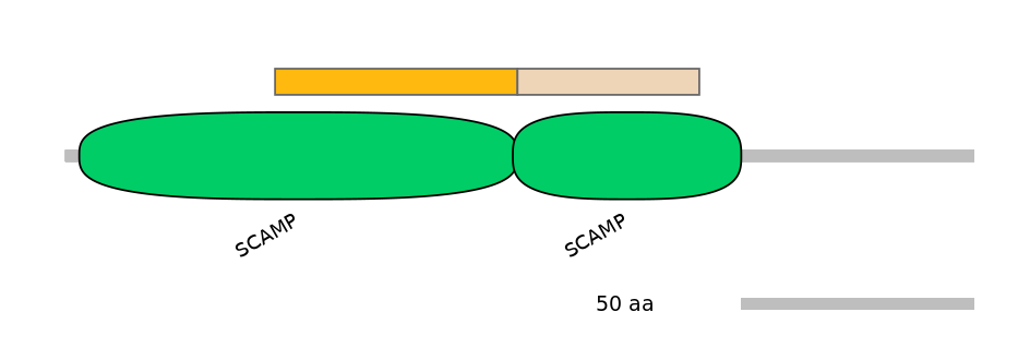 HsaEX0056364-EXC