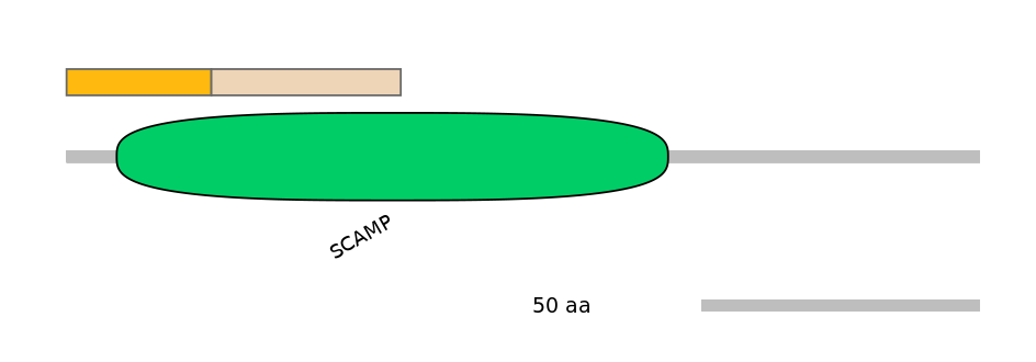 HsaEX0056371-EXC