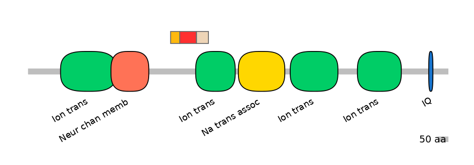 HsaEX0056536-INC