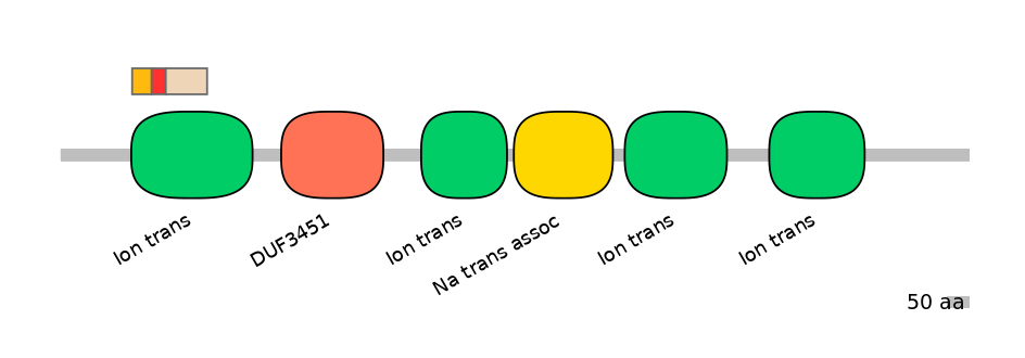 HsaEX0056548-INC