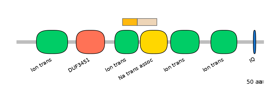 HsaEX0056566-EXC