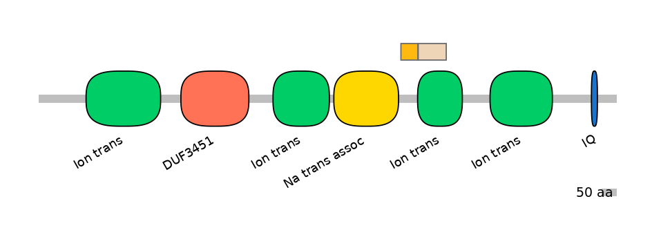 HsaEX0056568-EXC