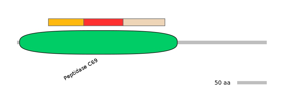 HsaEX0056651-INC