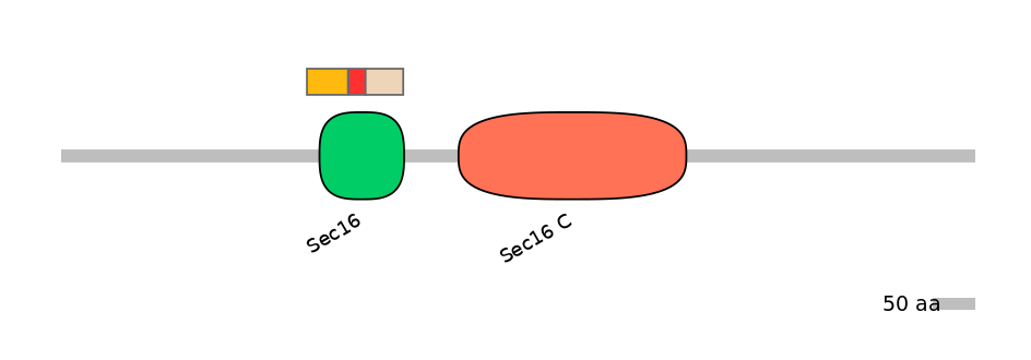 HsaEX0056840-INC