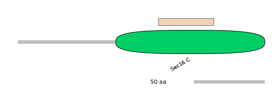 HsaEX0056844-EXC