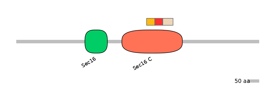 HsaEX0056845-INC