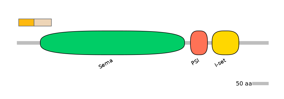 HsaEX0057060-EXC