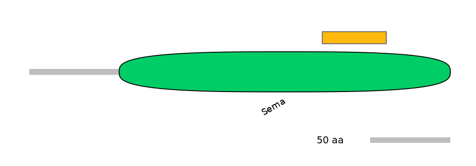 HsaEX0057078-EXC