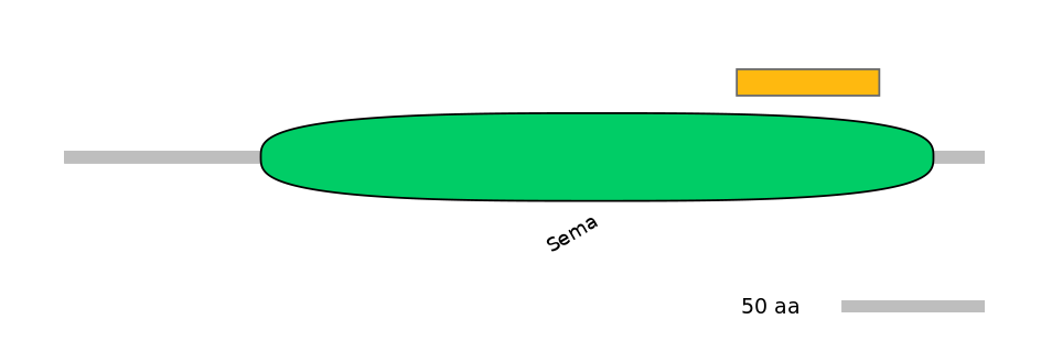HsaEX0057101-EXC