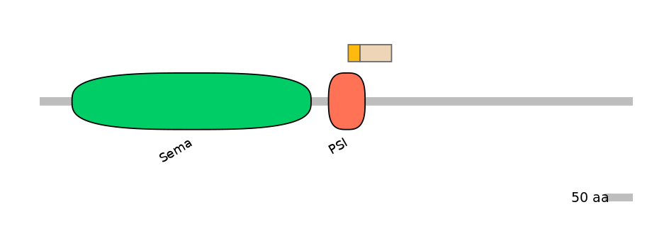 HsaEX0057169-EXC