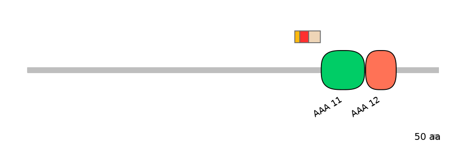 HsaEX0057541-INC
